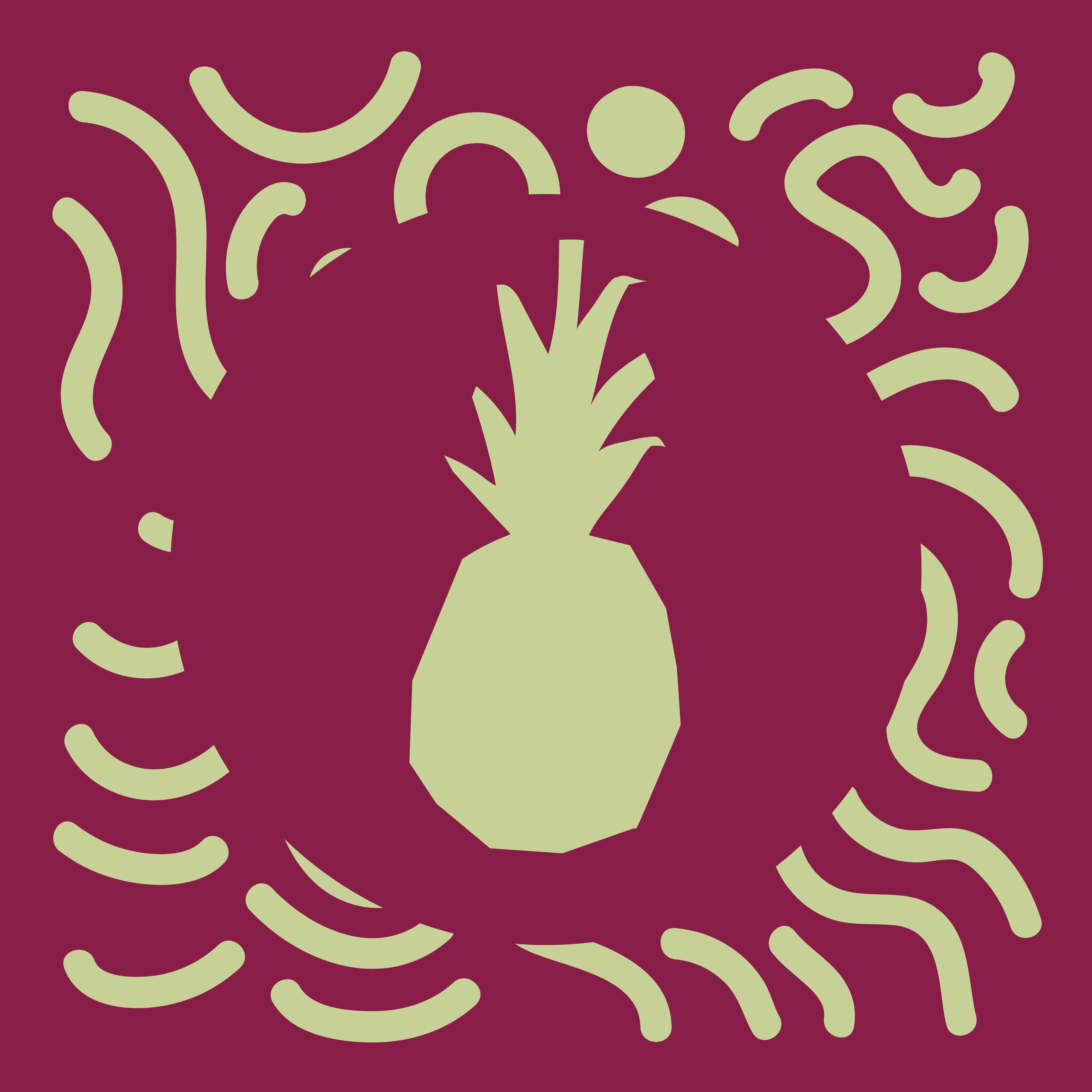 Piña Designs